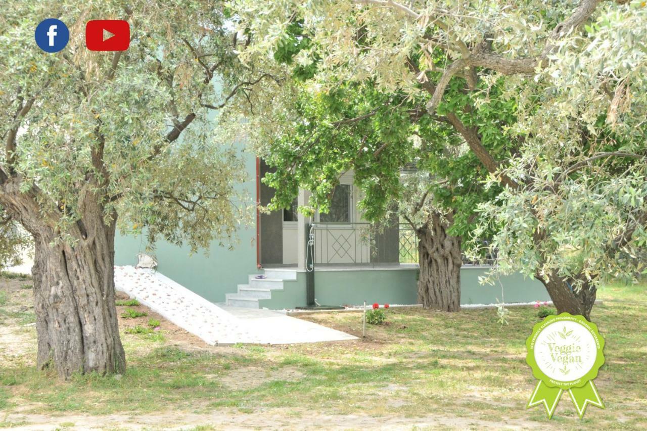 Villa "Elaeda Evdokia" Prínos Exteriör bild